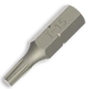 Hrot Torx TX15 - 25 mm