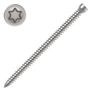 Okenní šroub 7,5x102 válcová hlava TX30 ZB závit celý - slide 0